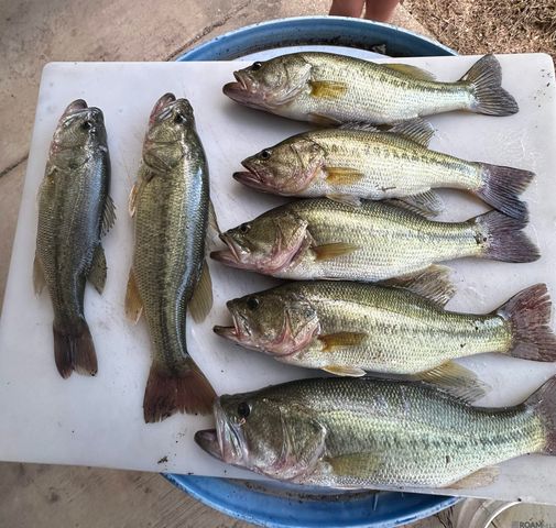 12724 Pittman Rd, St Francisville, LA 70775