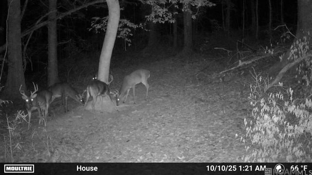 12724 Pittman Rd, St Francisville, LA 70775