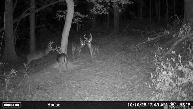 12724 Pittman Rd, St Francisville, LA 70775