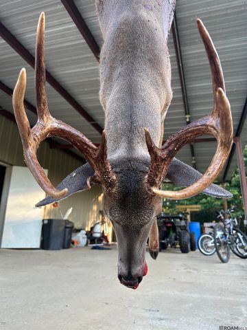 12724 Pittman Rd, St Francisville, LA 70775