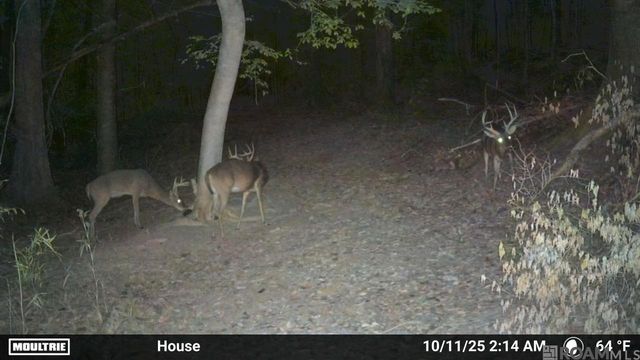 12724 Pittman Rd, St Francisville, LA 70775