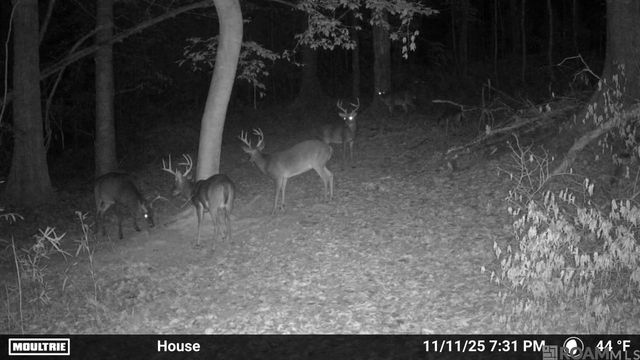 12724 Pittman Rd, St Francisville, LA 70775