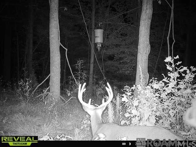 12724 Pittman Rd, St Francisville, LA 70775