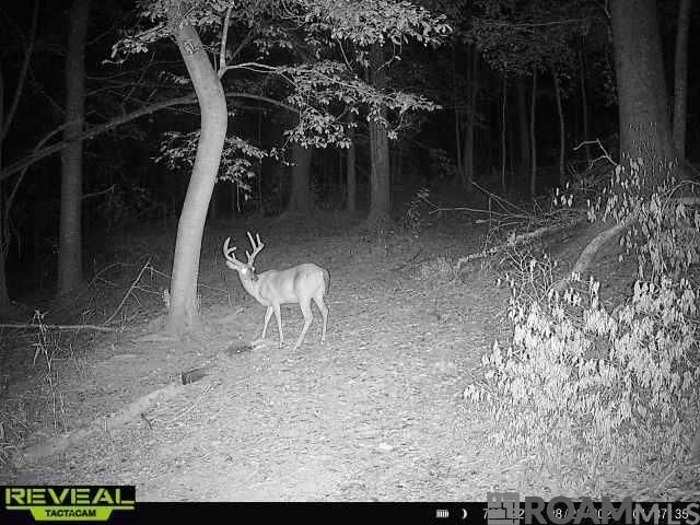 12724 Pittman Rd, St Francisville, LA 70775