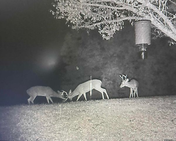 12724 Pittman Rd, St Francisville, LA 70775