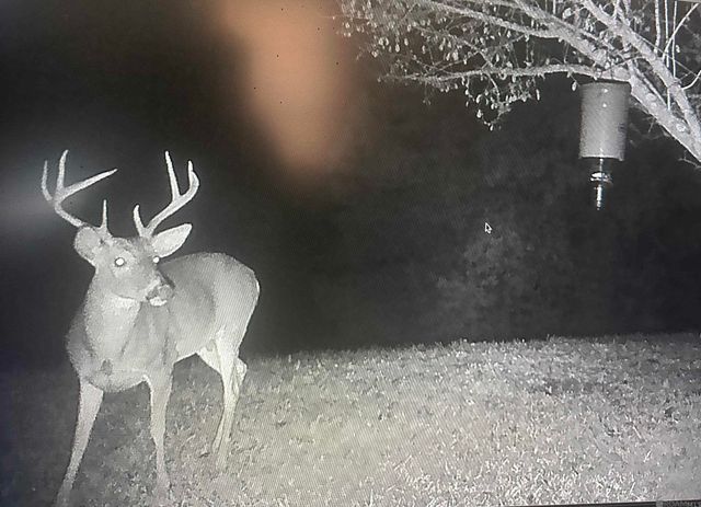 12724 Pittman Rd, St Francisville, LA 70775