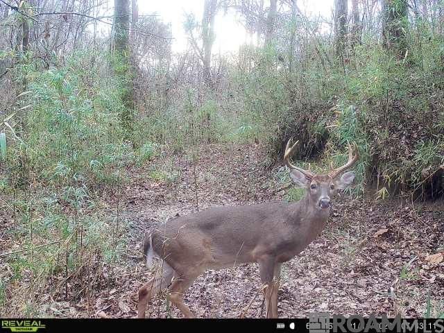 12724 Pittman Rd, St Francisville, LA 70775