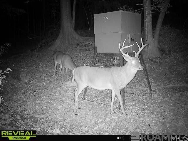 12724 Pittman Rd, St Francisville, LA 70775