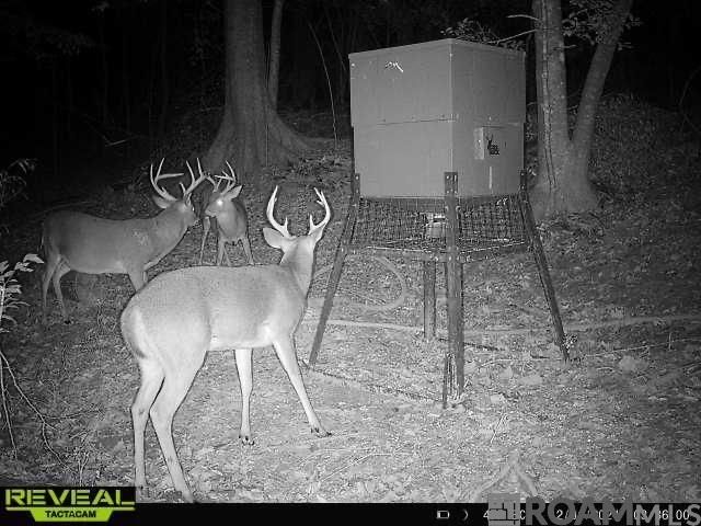 12724 Pittman Rd, St Francisville, LA 70775