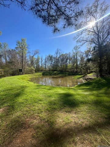 12724 Pittman Rd, St Francisville, LA 70775