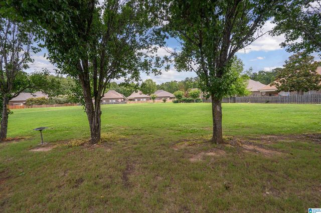 199 BELVEDERE DRIVE, Birmingham, AL 35242