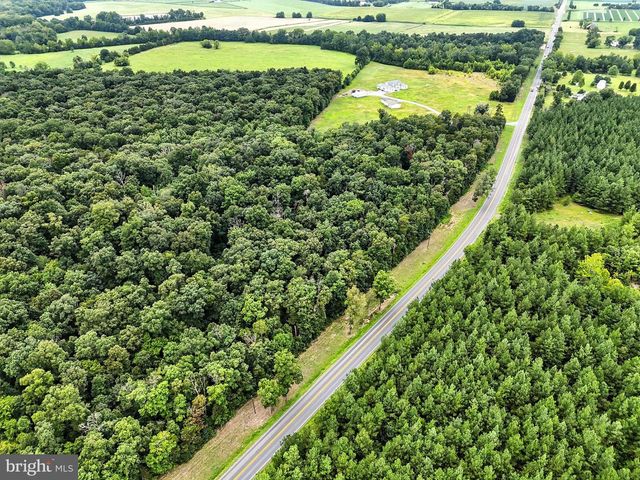 ZACHARY TAYLOR, Culpeper, VA 22701