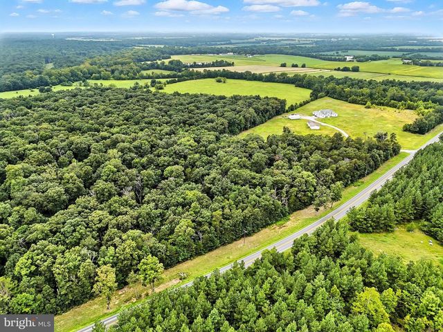 ZACHARY TAYLOR, Culpeper, VA 22701