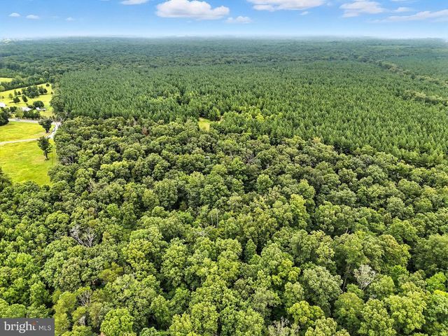ZACHARY TAYLOR, Culpeper, VA 22701