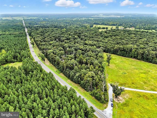 ZACHARY TAYLOR, Culpeper, VA 22701