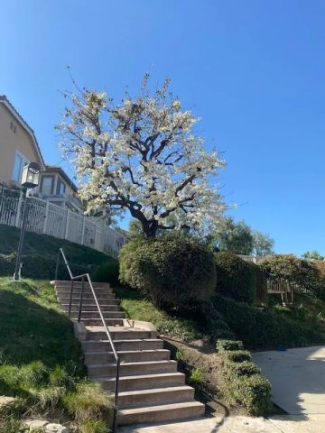 1129 W Capitol Drive 27, San Pedro, CA 90732