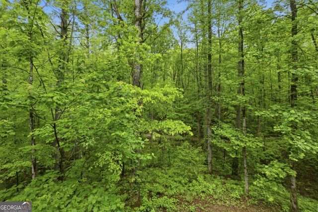 634 Little Hawk Road, Sautee Nacoochee, GA 30571