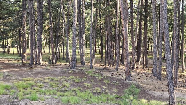 7220 Mcshane Road, Colorado Springs, CO 80908