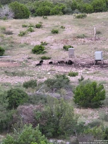 97 SD 45690, Rocksprings, TX 78880