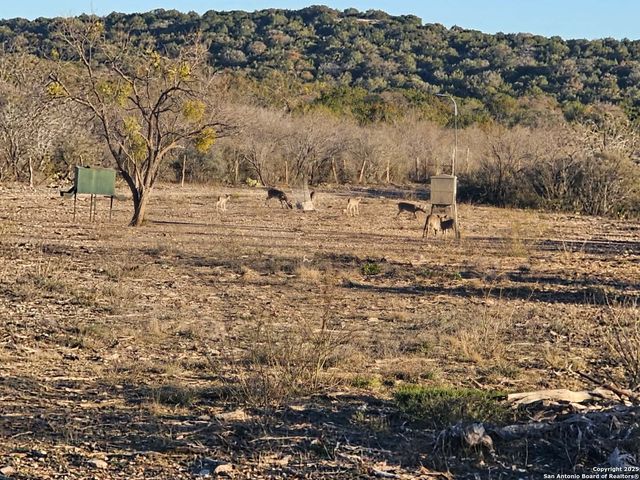 97 SD 45690, Rocksprings, TX 78880