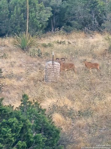 97 SD 45690, Rocksprings, TX 78880