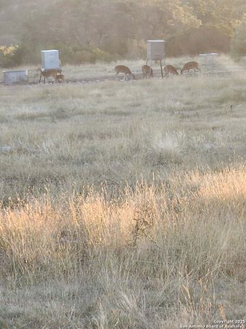 97 SD 45690, Rocksprings, TX 78880