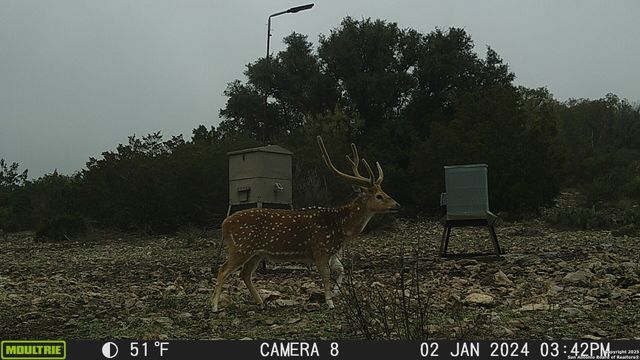 97 SD 45690, Rocksprings, TX 78880