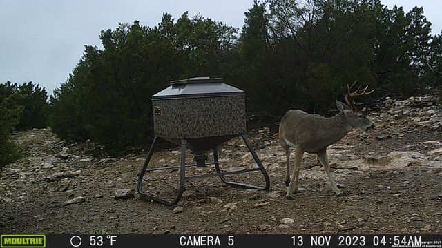 97 SD 45690, Rocksprings, TX 78880