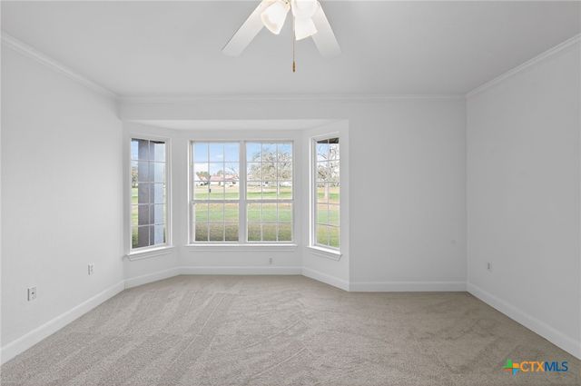 526 Dove Hollow Trail, Georgetown, TX 78633