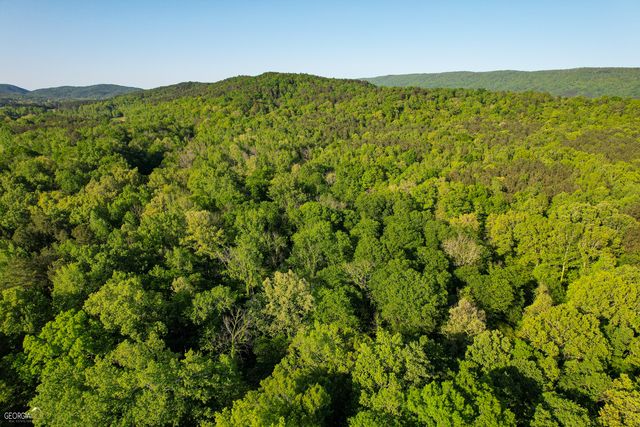 294 +/- ACRES O Haywood Valley Road, Summerville, GA 30747