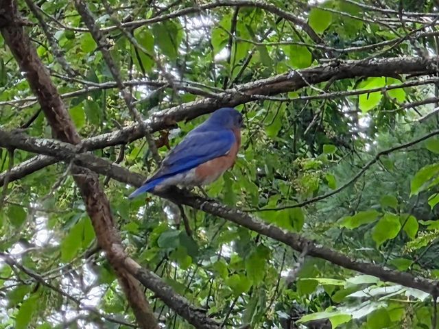 N4106 9TH LANE, Hancock, WI 54943