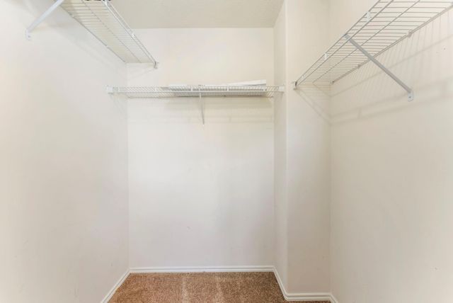 7203 Cool Springs Court, Magnolia, TX 77354