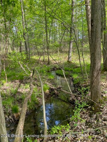 7757 N Forest Hill Road, St. Johns, MI 48879