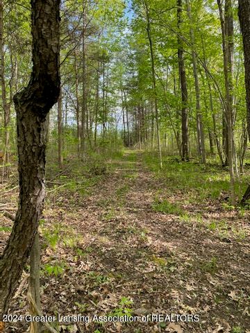 7757 N Forest Hill Road, St. Johns, MI 48879