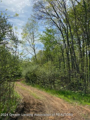 7757 N Forest Hill Road, St. Johns, MI 48879