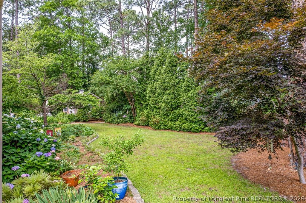 2908 Lindbridge Drive, Fayetteville, NC 28306 — photo 49