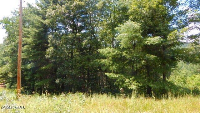 Lot 16 Tyler Ridge, Murphy, NC 28906