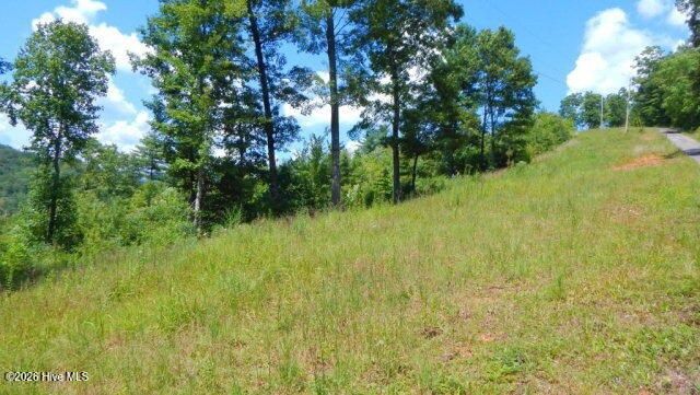 Lot 16 Tyler Ridge, Murphy, NC 28906