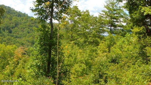 Lot 16 Tyler Ridge, Murphy, NC 28906
