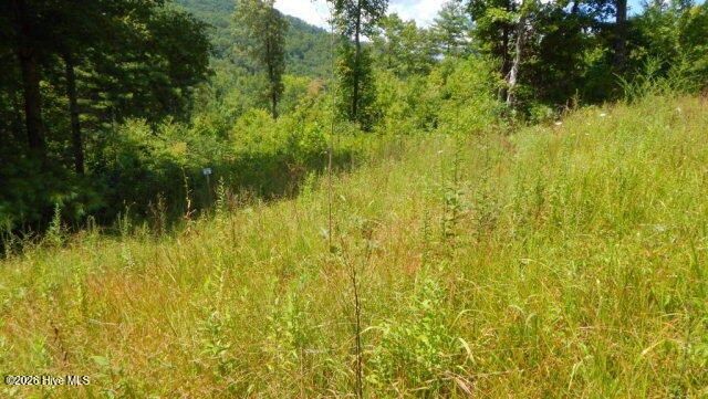 Lot 16 Tyler Ridge, Murphy, NC 28906