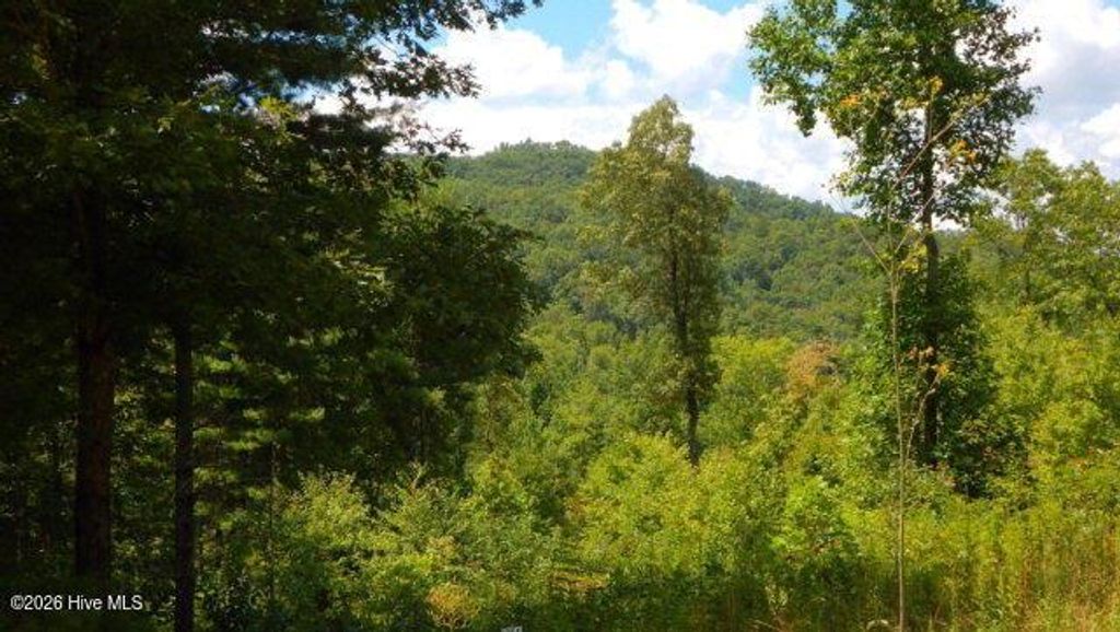 Lot 16 Tyler Ridge, Murphy, NC 28906
