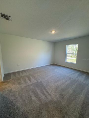 4820 YELLOW ELDER WAY, Kissimmee, FL 34758
