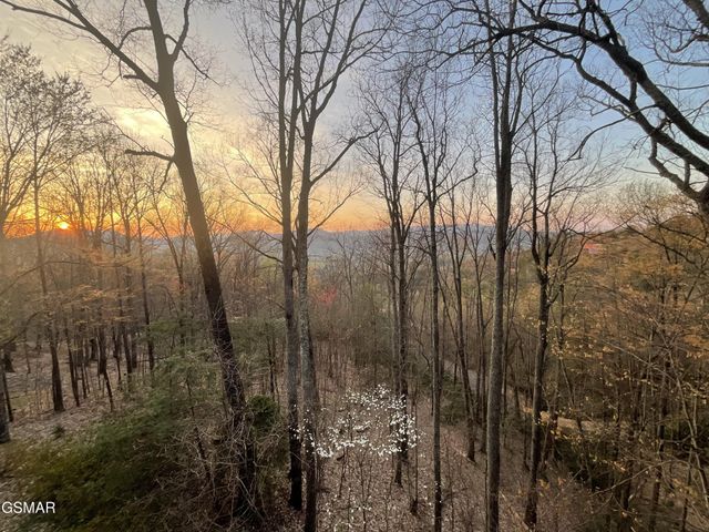 3120 Lexy Lane, Sevierville, TN 37862