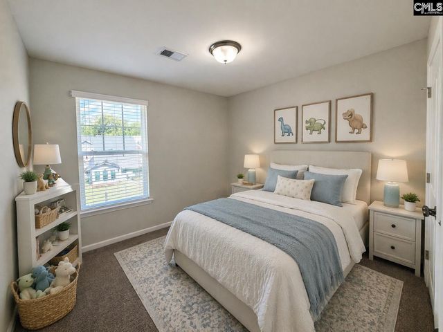 1123 Bergenfield Lane, Chapin, SC 29036