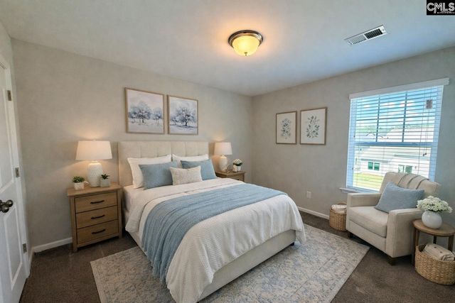 1123 Bergenfield Lane, Chapin, SC 29036