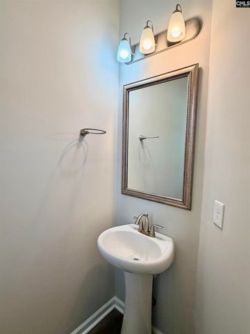 1123 Bergenfield Lane, Chapin, SC 29036