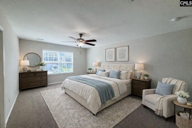 1123 Bergenfield Lane, Chapin, SC 29036