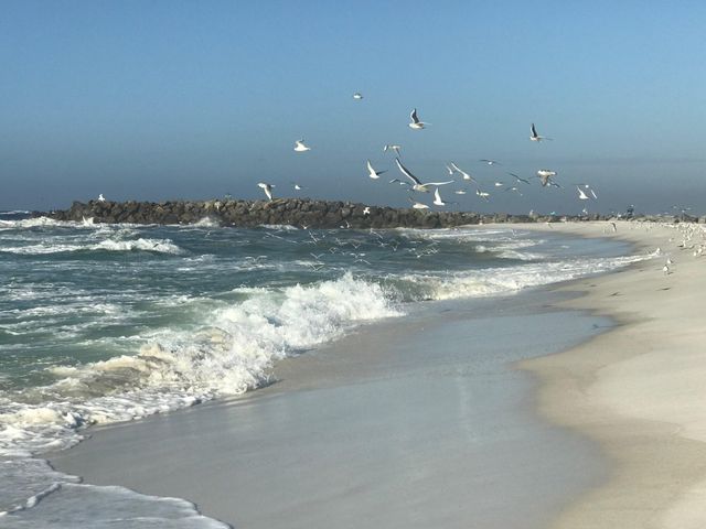 445 Gulf Shore Drive 201, Destin, FL 32541