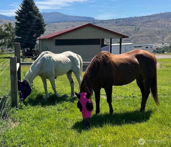 8 Mundinger Lane, Omak, WA 98841