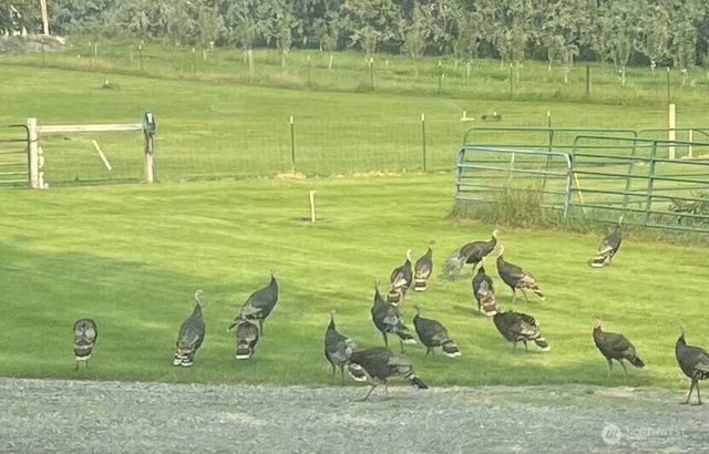 8 Mundinger Lane, Omak, WA 98841